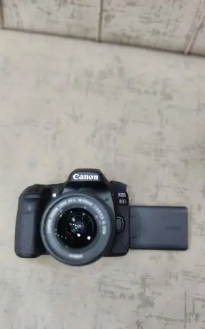 stock
