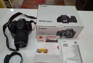 stock