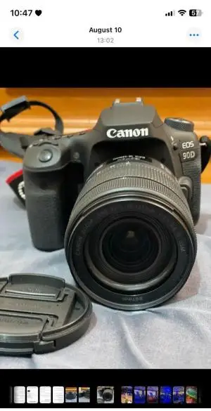 stock
