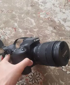 stock