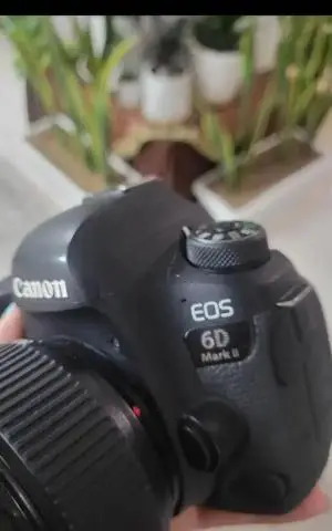 stock