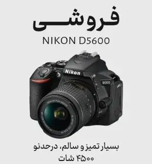 stock