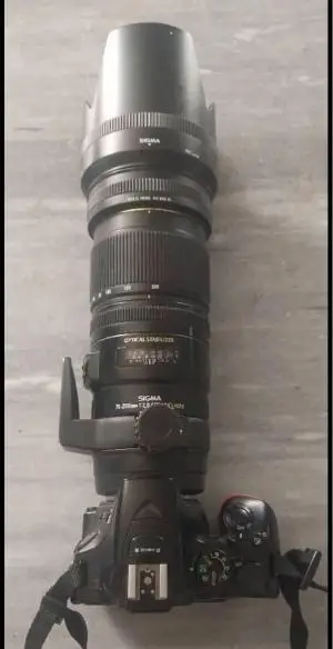 stock