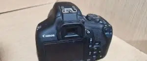 stock