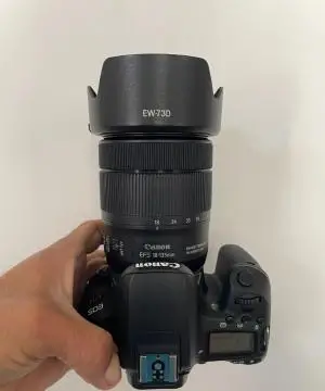 stock