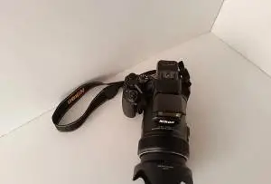 stock