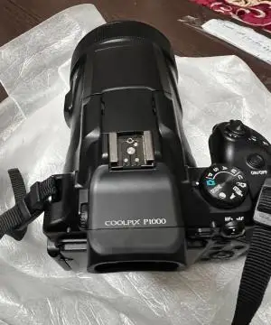 stock