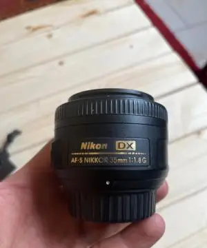 stock