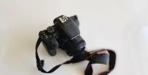 stock