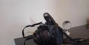 stock