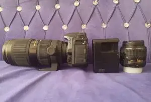 stock