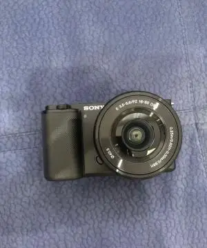 stock