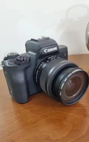 stock