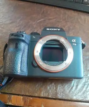 stock
