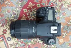 stock