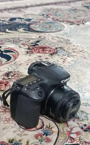 stock