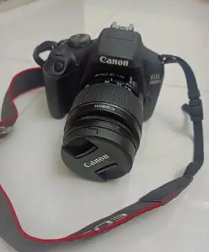 stock