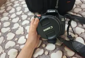 stock