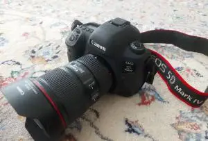 stock