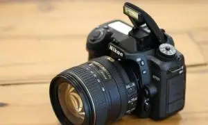 stock
