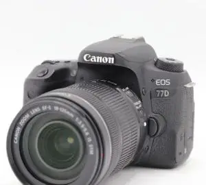 stock