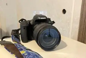 stock