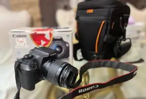 stock