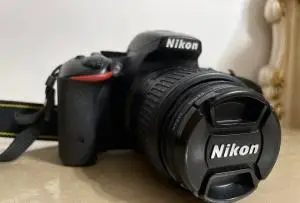 stock