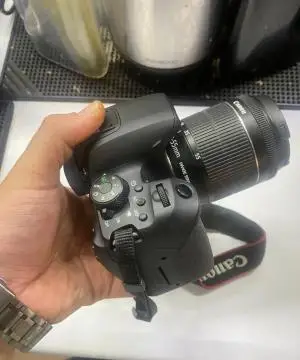 stock