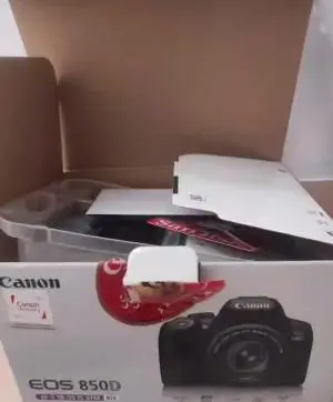 stock