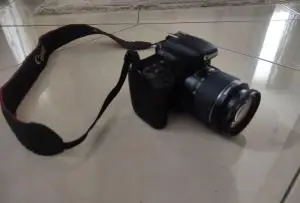 stock
