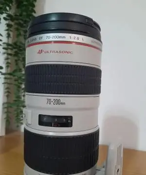 stock