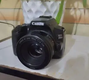 stock