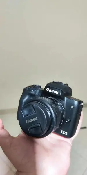 stock
