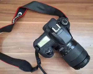 stock