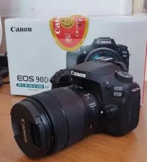stock