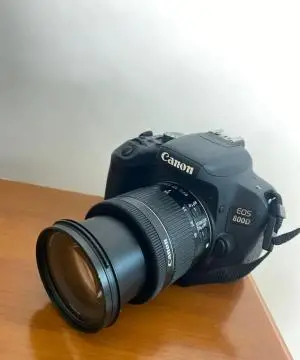 stock