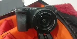 stock