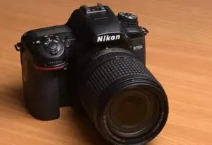 stock