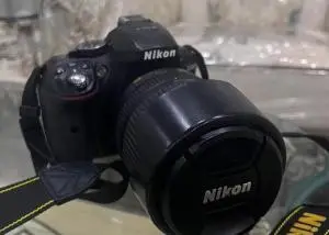 stock