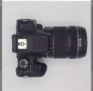 stock