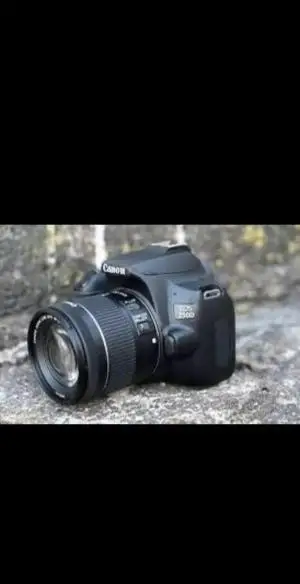 stock