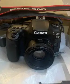stock