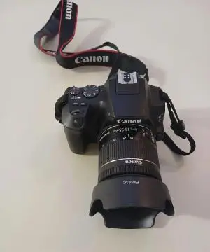 stock