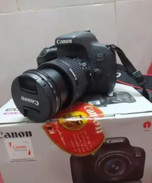 stock