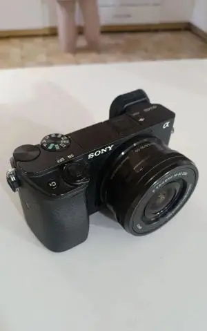 stock