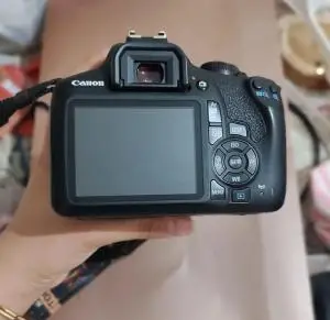 stock