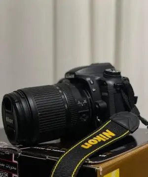 stock