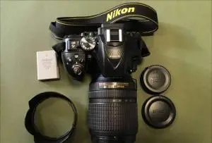 stock