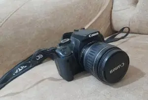 stock